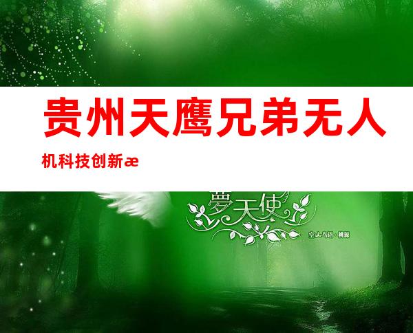 贵州天鹰兄弟无人机科技创新有限公司